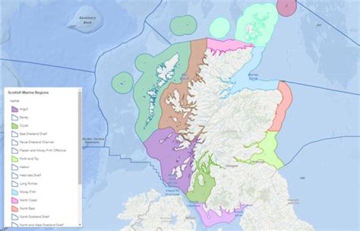 A Tapestry Of Samoan, Scottish, And Irish Ancestry