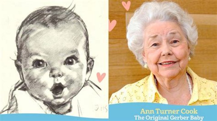 Ann Turner Cook | BlogLab