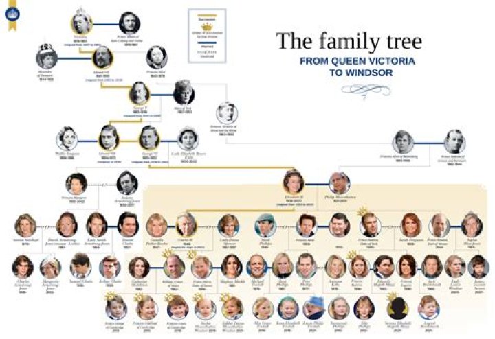 Discover the Enigmatic Lineage of Mia Goth's Parents